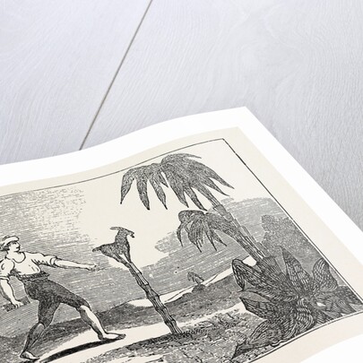 Singular Dexterity of a Goat by Anonymous