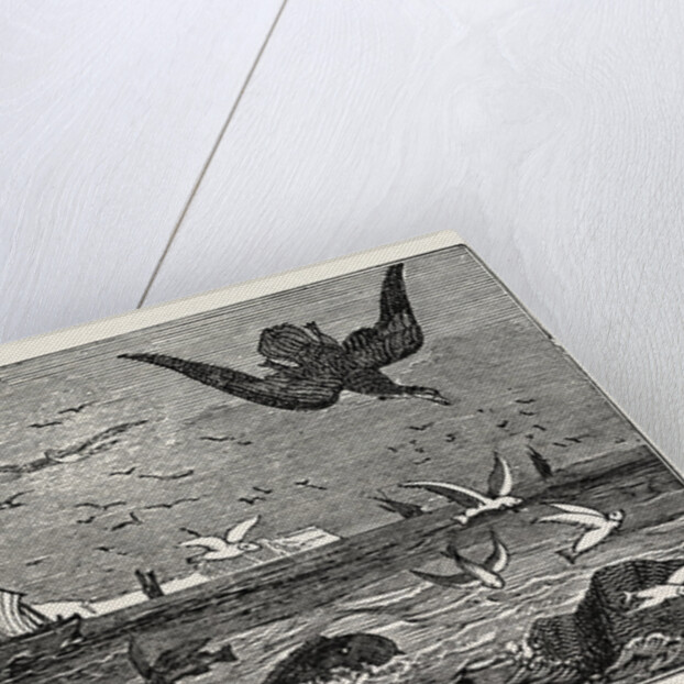 The Dolphin (or Dorado) Pursuing the Flying Fish by Anonymous