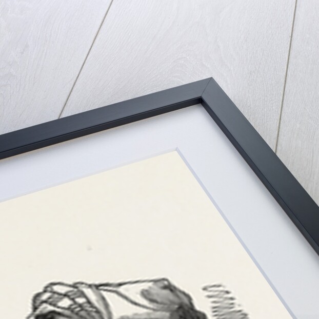 The Koords by Anonymous