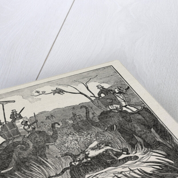 Tiger Retreating Into the Jungle. by Anonymous