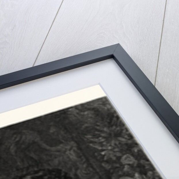 Not for Pluto! by Anonymous