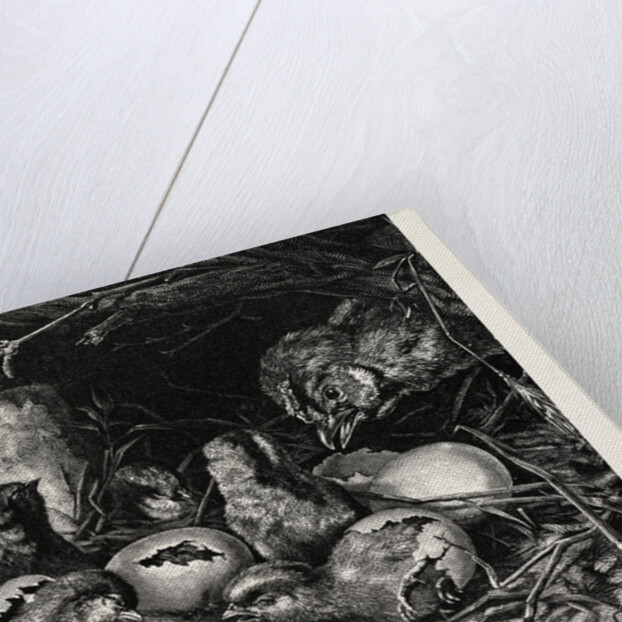 An Interesting Crisis by Anonymous