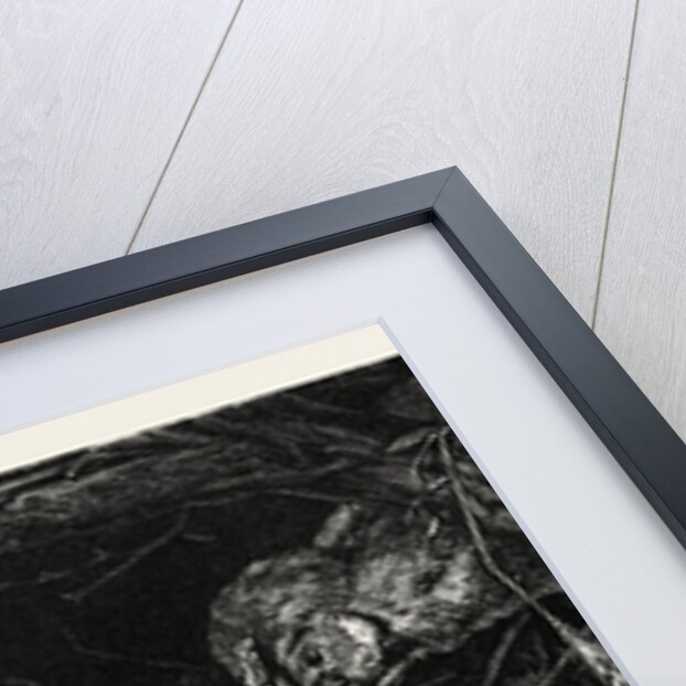 An Interesting Crisis by Anonymous