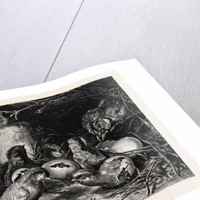 An Interesting Crisis by Anonymous