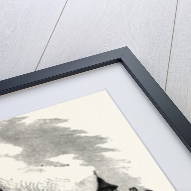 Nuremberg: City Gate, Germany by Anonymous