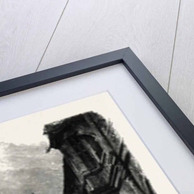 Nuremberg: Viatis Palace, Germany by Anonymous