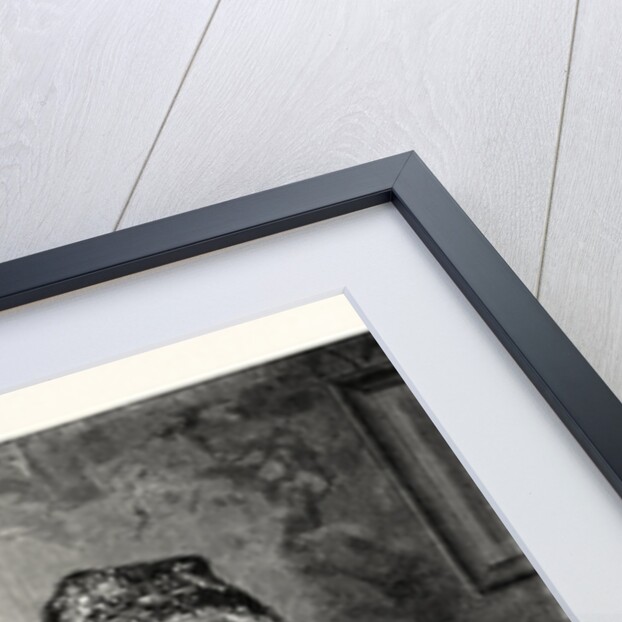 The Female Miser by Anonymous