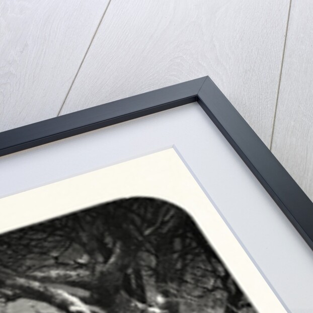 O Fair As Hope Was the New Year's Morn, that Broke Through the Night, O'Er a World Forlorn! the Glad Bells Toll'D for the Old Year Gone, and Rang for the New, a Merry Sweet Song.New Years Day, New Years Morning by Anonymous