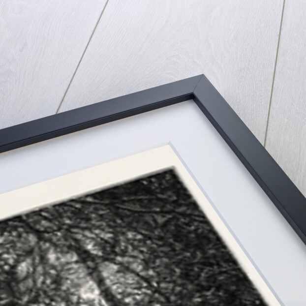 A Child No More! a Maiden Now - a Graceful Maiden, with a Gentle Brow by Anonymous