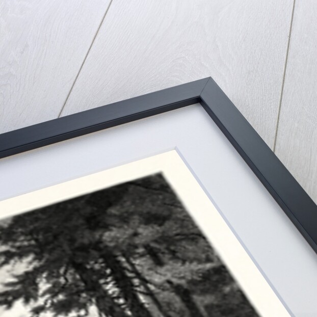 Lewistown Narrows by Anonymous