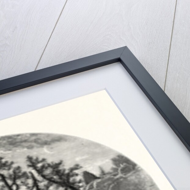 Natural Bridge, Virginia by Anonymous