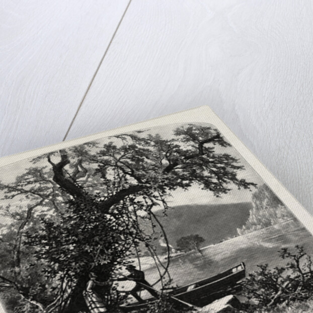 James River, above Rope Ferry, Virginia by Anonymous