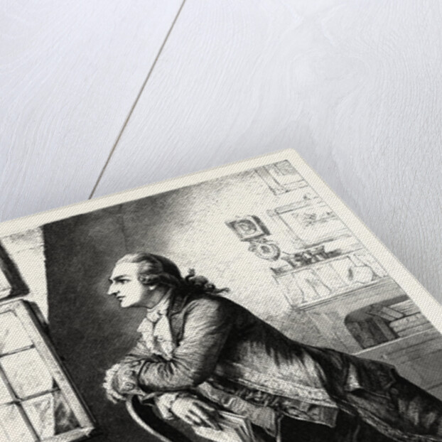 Goethe at Home by Anonymous