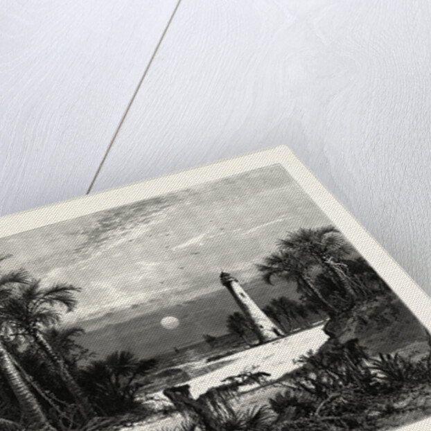 Moonrise on the Coast of Florida by Anonymous