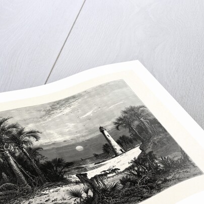 Moonrise on the Coast of Florida by Anonymous