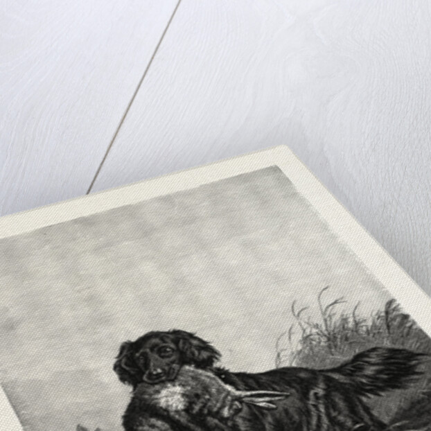 A Retriever by Anonymous