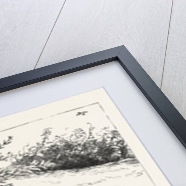 Up Springs the Lark, Shrill-Voiced, and Loud; the Messenger of Morn! by Anonymous