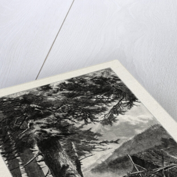 Hemlocks of Lake Otsego by Anonymous