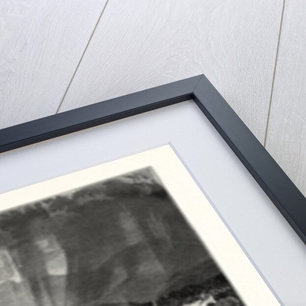 Mount Mansfield, from Rice's Hill by Anonymous