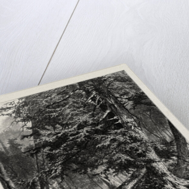 Kettle Run, Altoona by Anonymous