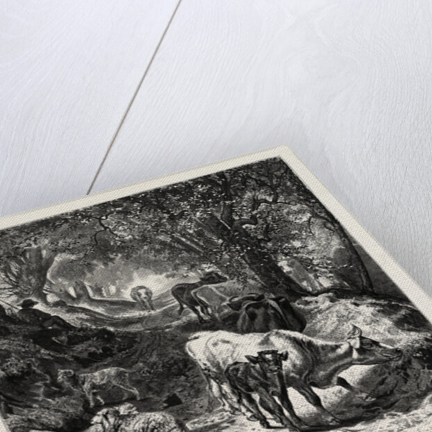 The Shady Lane by Anonymous