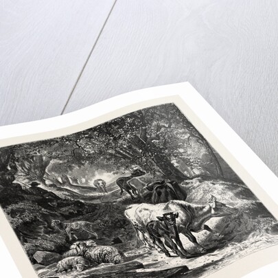 The Shady Lane by Anonymous