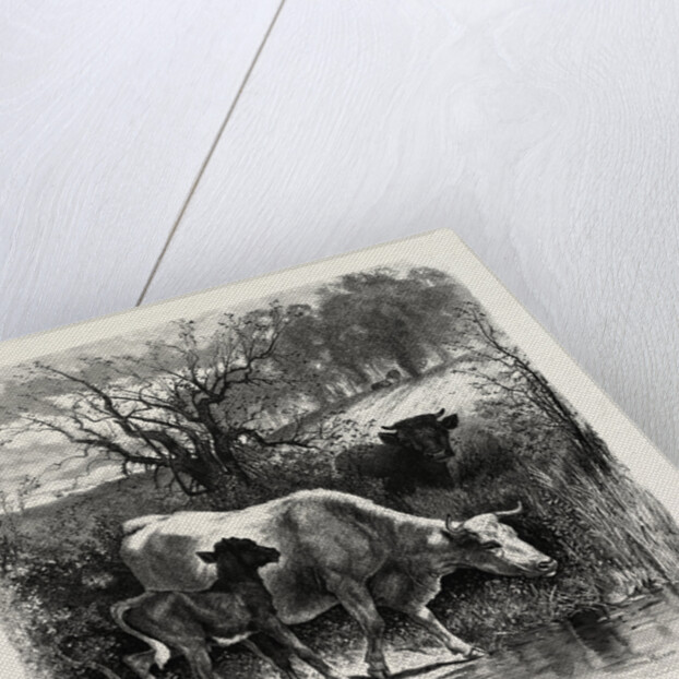 The Sunny Slope by Anonymous