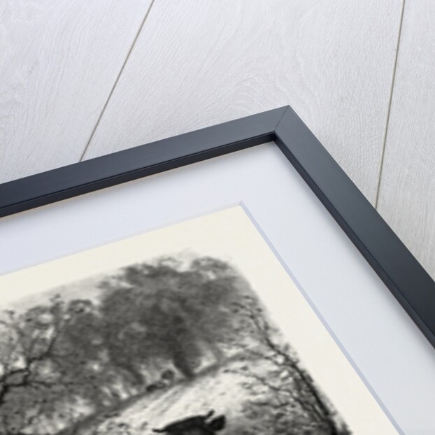 The Sunny Slope by Anonymous