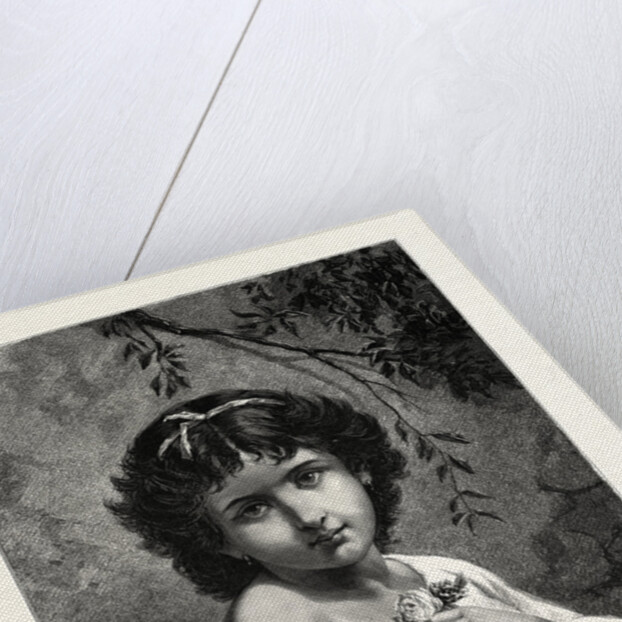 Little Rose by Anonymous