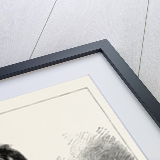 The Ugly Beauty by Anonymous