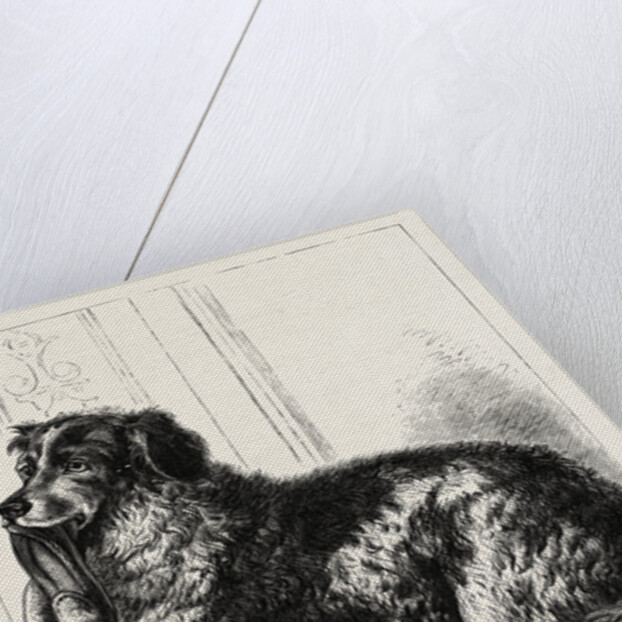 Master's Slippers by Anonymous