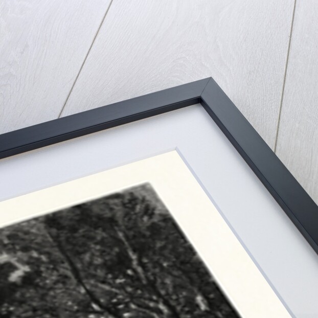 The Woodside Brook by Anonymous