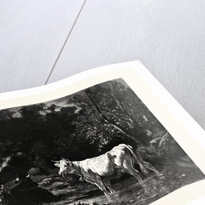 The Woodside Brook by Anonymous