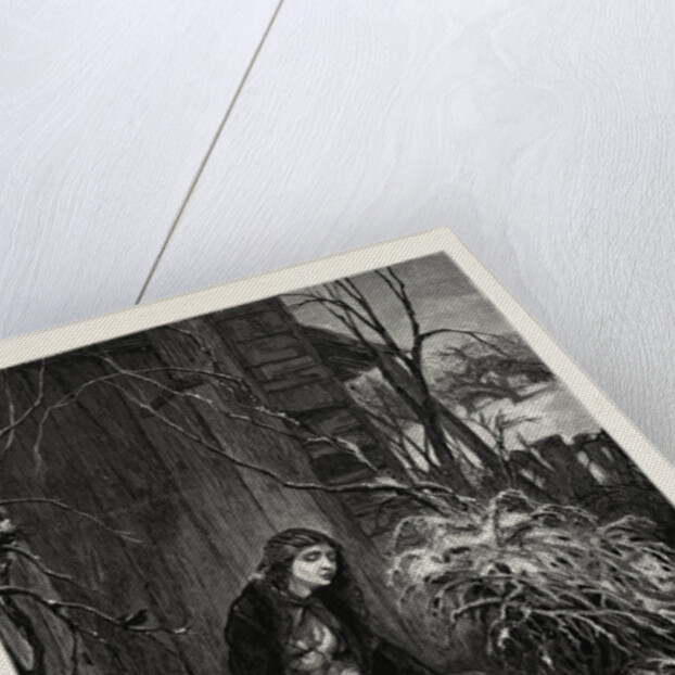 Mary of the Wild Moor by Anonymous