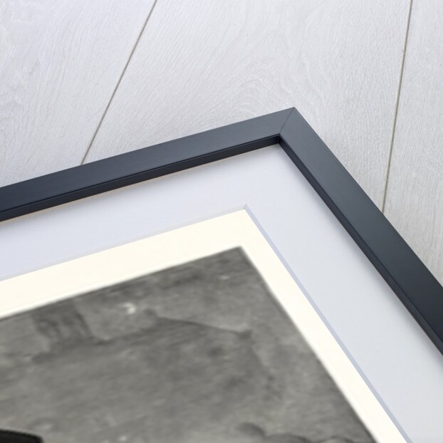 Here's Your Christmas Dinner! by Anonymous