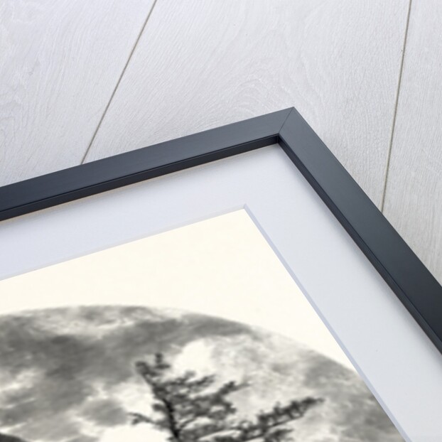 A Spur of Tammany, Delaware Water Gap by Anonymous