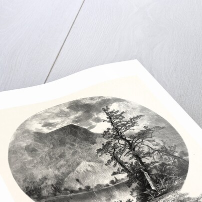 A Spur of Tammany, Delaware Water Gap by Anonymous