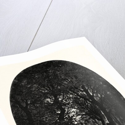 Under the Silver Full-Moonlight Shimmereth White the Lake Seen Through the Natural Arches that the Crossing Branches Make by Anonymous