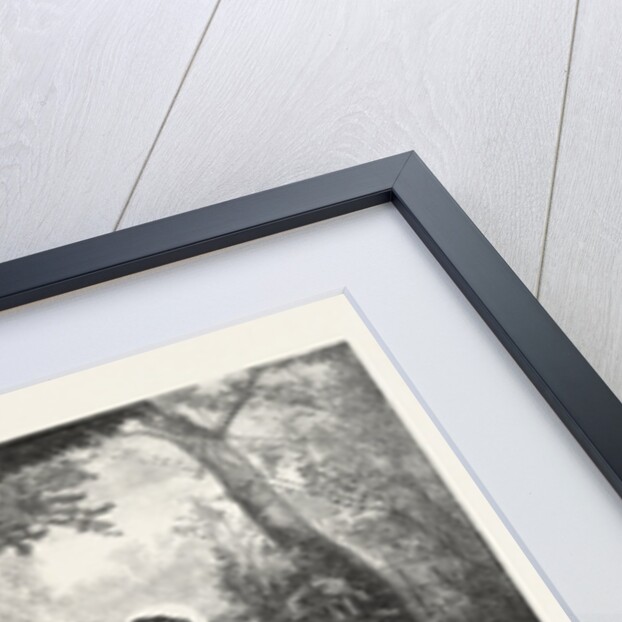 Two Pleasant Occupations by Anonymous