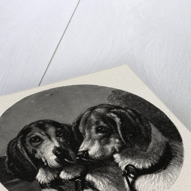 The Stag-Hounds by Anonymous