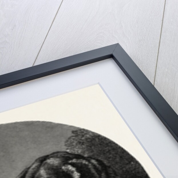 The Stag-Hounds by Anonymous