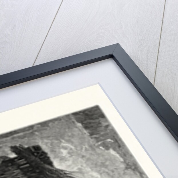 A Basket of Babies by Anonymous