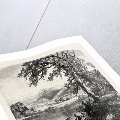 Mount Holyoke, from the Connecticut River by Anonymous