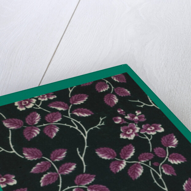 French Fabrics; First Half of the Nineteenth Century by Anonymous