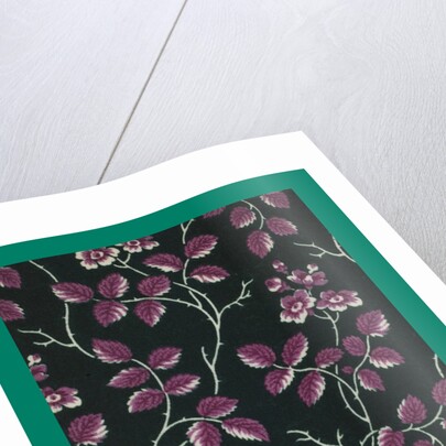 French Fabrics; First Half of the Nineteenth Century by Anonymous