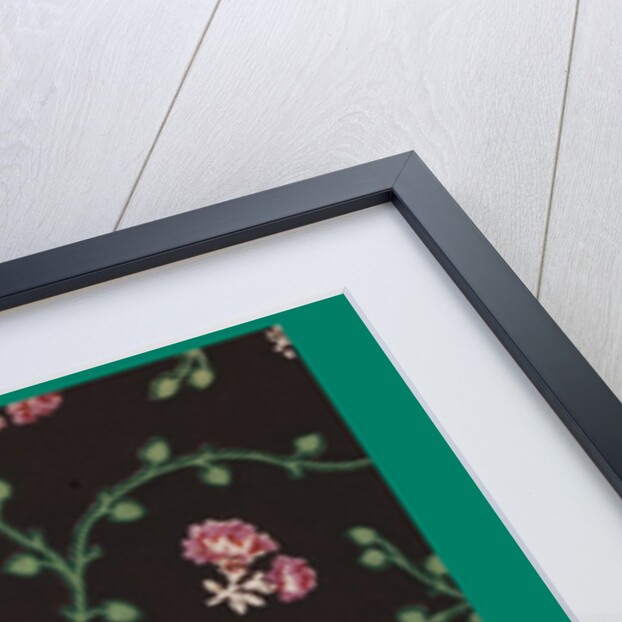 French Fabrics; First Half of the Nineteenth Century by Anonymous