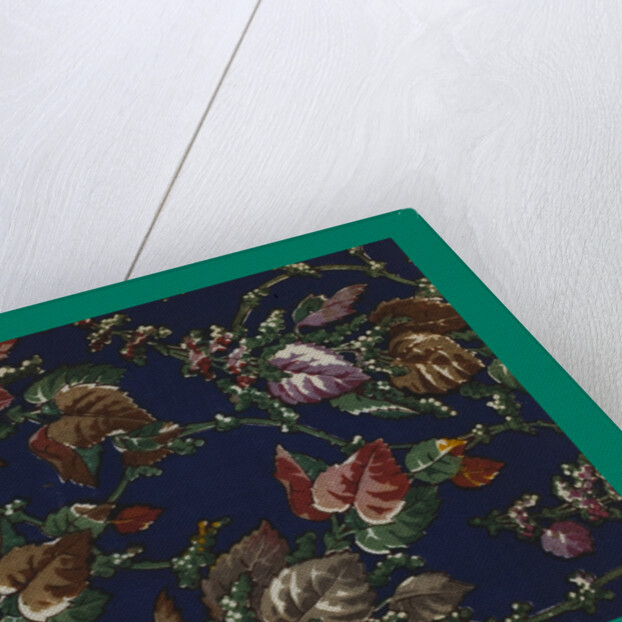 French Fabrics; First Half of the Nineteenth Century by Anonymous