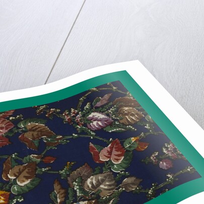 French Fabrics; First Half of the Nineteenth Century by Anonymous