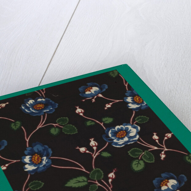 French Fabrics; First Half of the Nineteenth Century by Anonymous