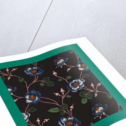 French Fabrics; First Half of the Nineteenth Century by Anonymous